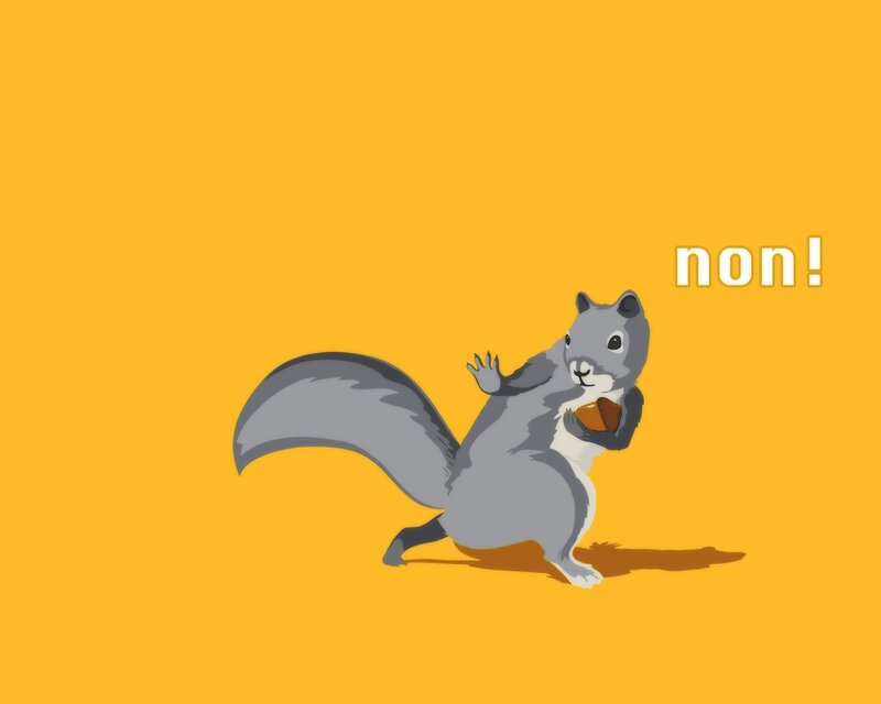 squirrel saying non