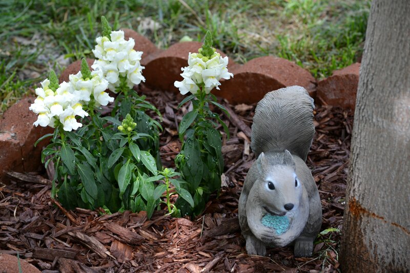 Squirrel Statue in Garden — Brown