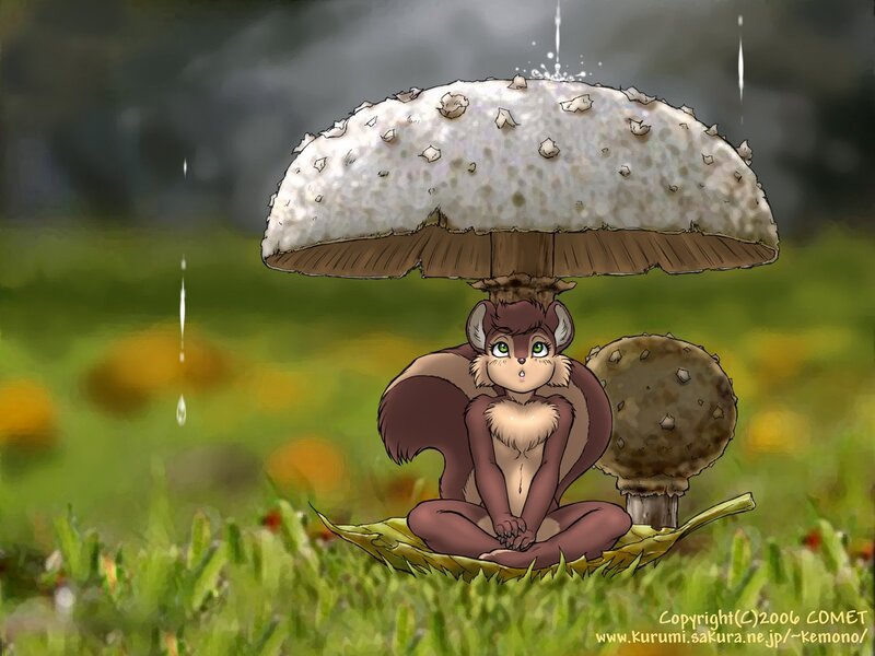 squirrel under mushroom in rain