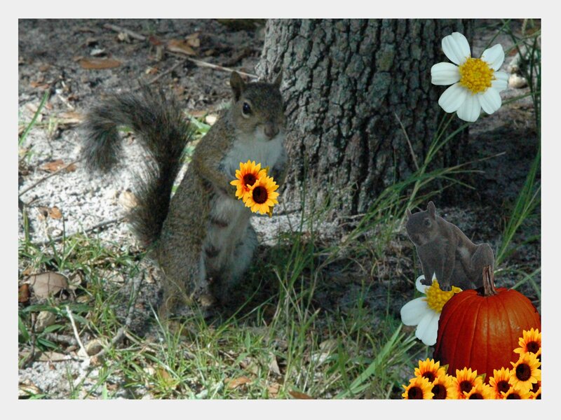 Squirrel with autumn flowers