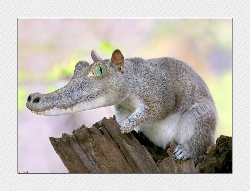 squirrel with crocodile head