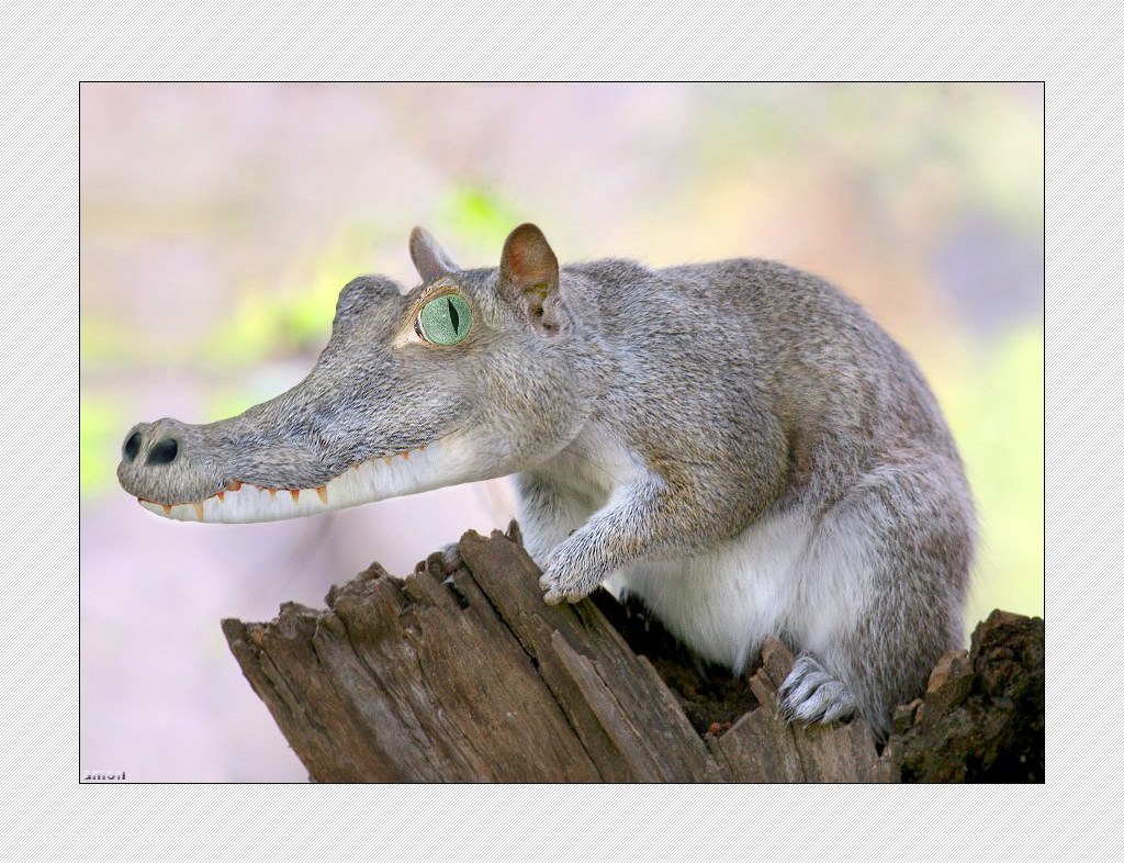 squirrel with crocodile head