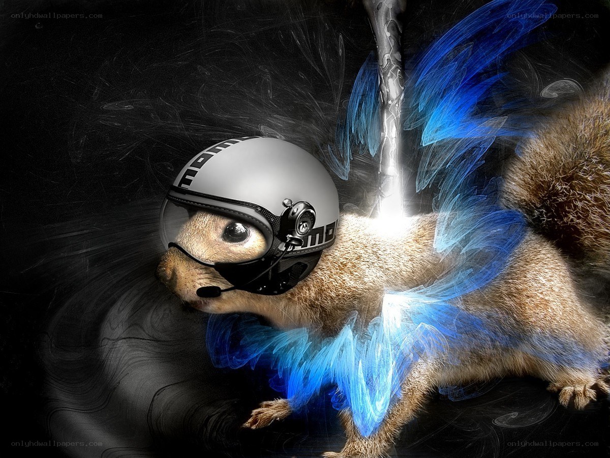 squirrel with helmet and wings