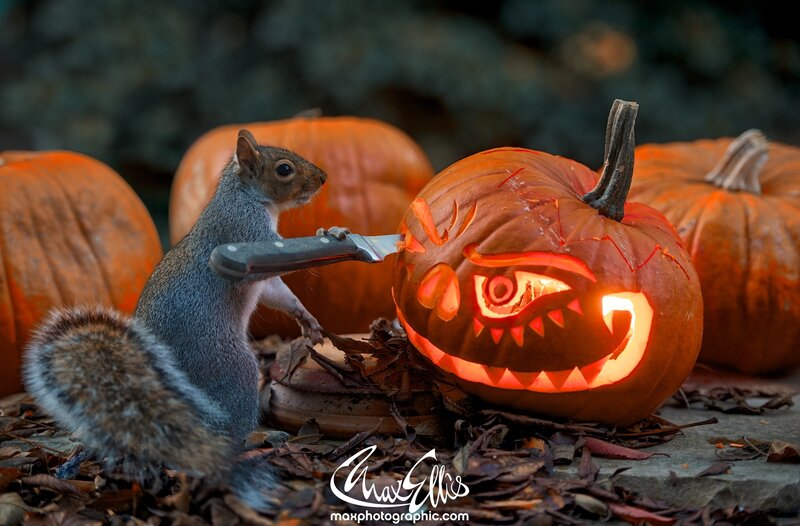 Squirrel with Knife
