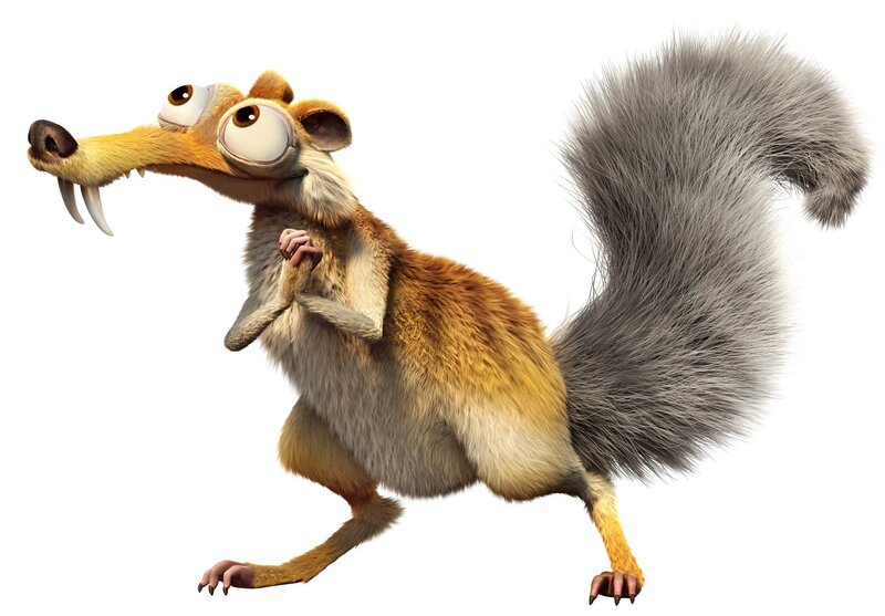 Squirrel with Large Tail