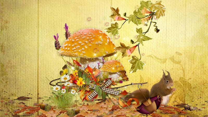Squirrel with Mushrooms