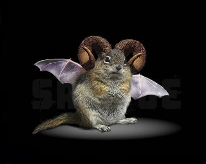 Squirrel with Ram Horns and Wings
