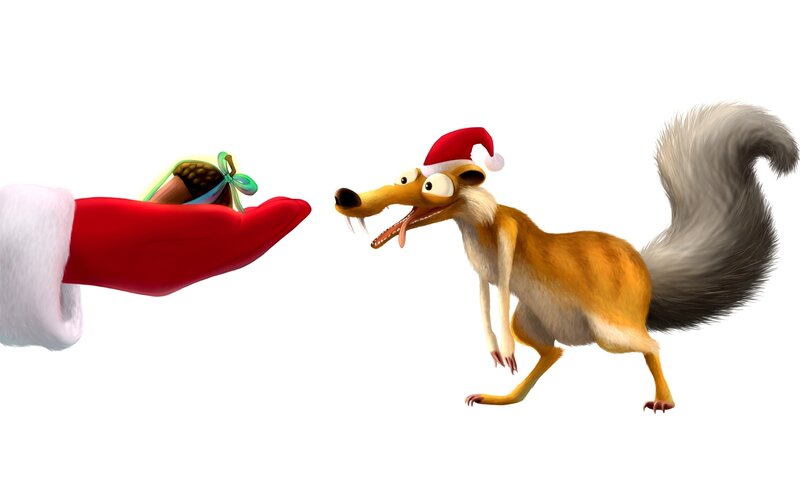 Squirrel with Santa hat