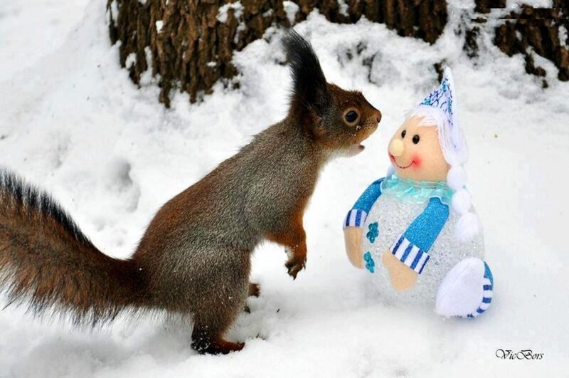 Squirrel with Snowman
