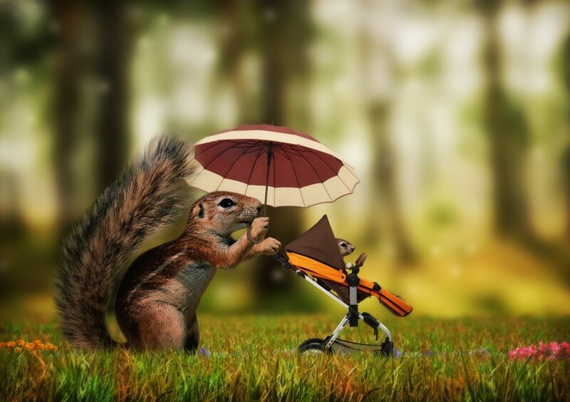 Squirrel with stroller and umbrella
