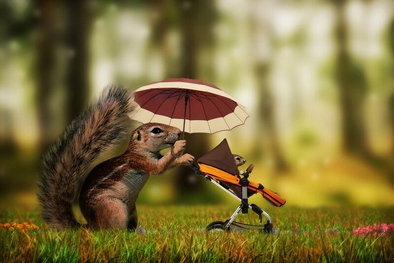 Squirrel with Stroller