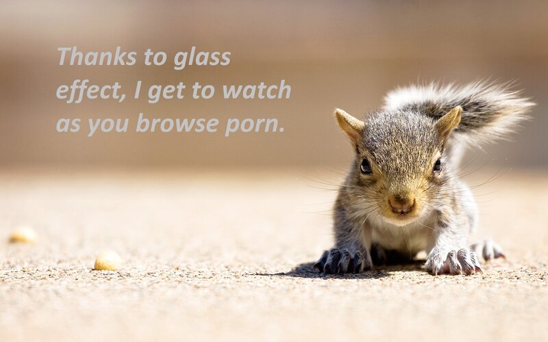 squirrel with text overlay