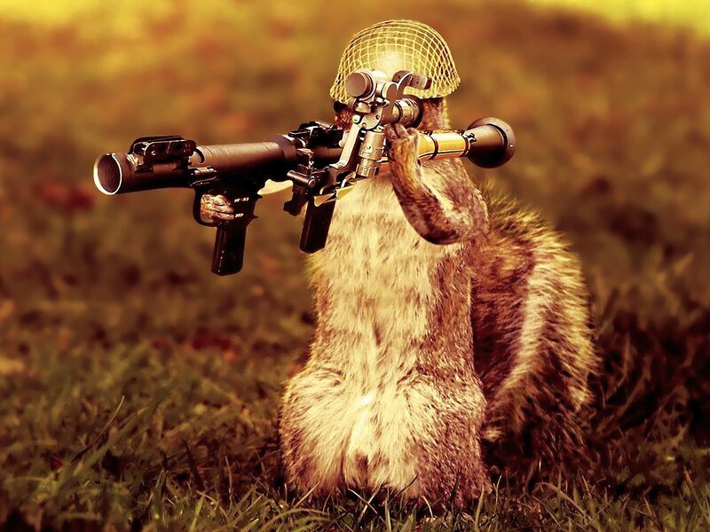 Squirrel with Weapon — Brown