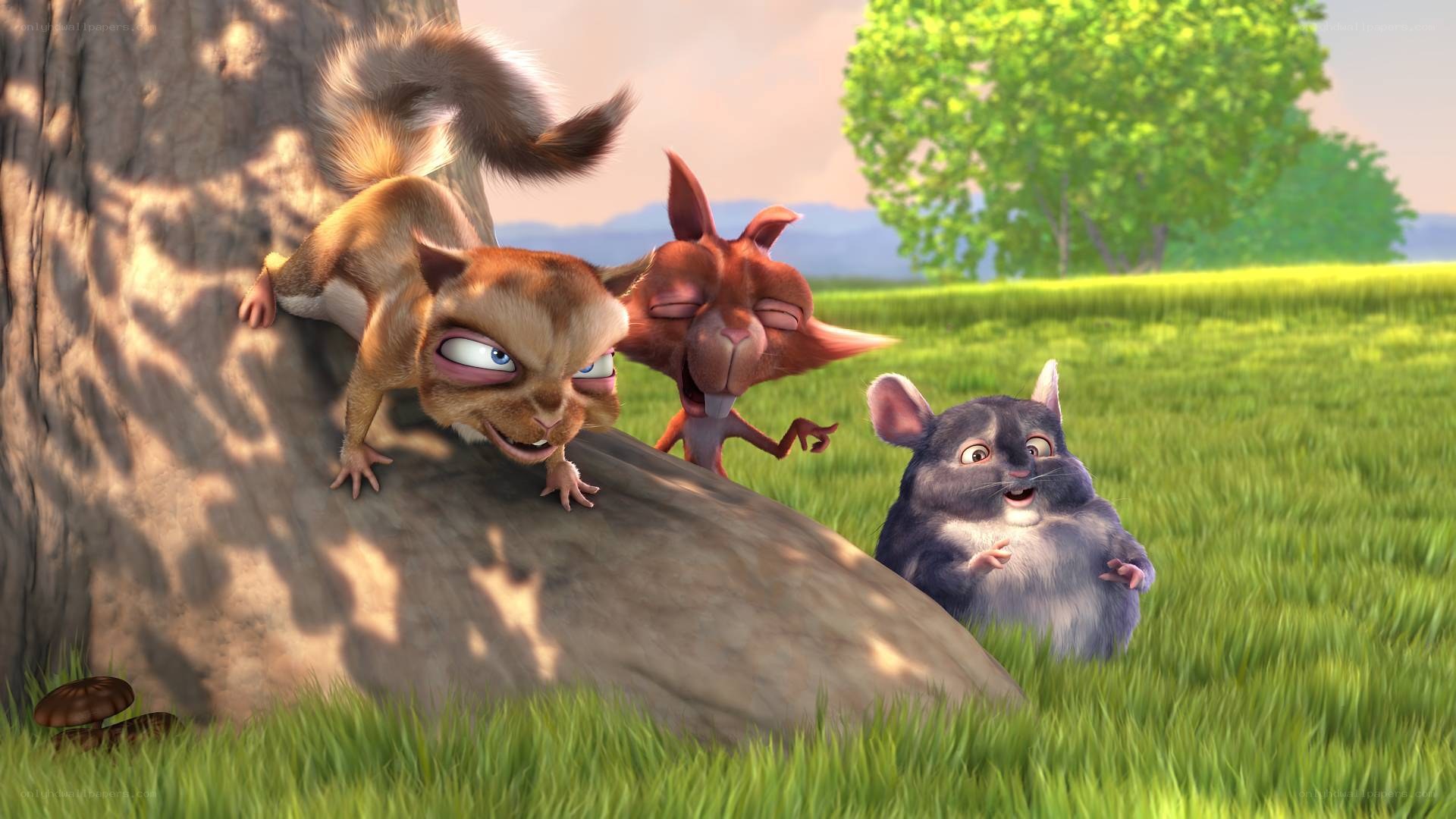 Squirrels and a chinchilla in a field