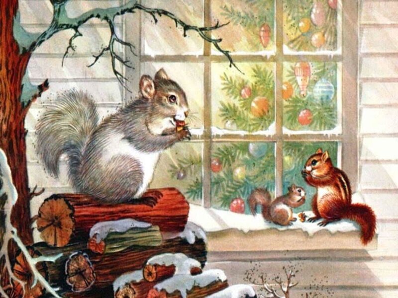 Squirrels at Window
