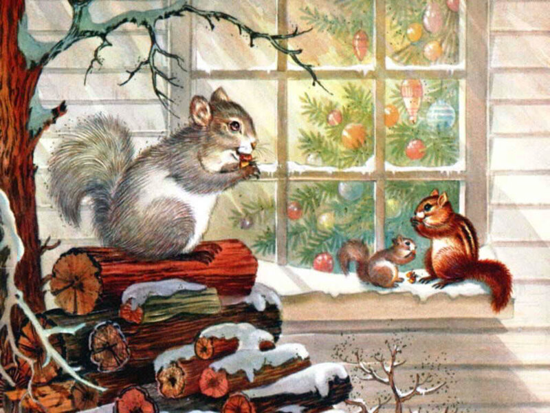 Squirrels by a snowy window