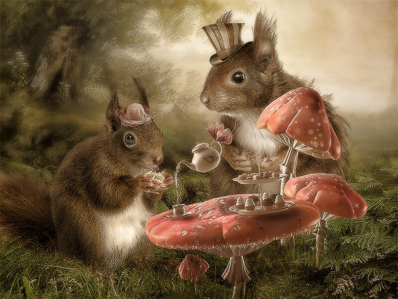 Squirrels Having Tea