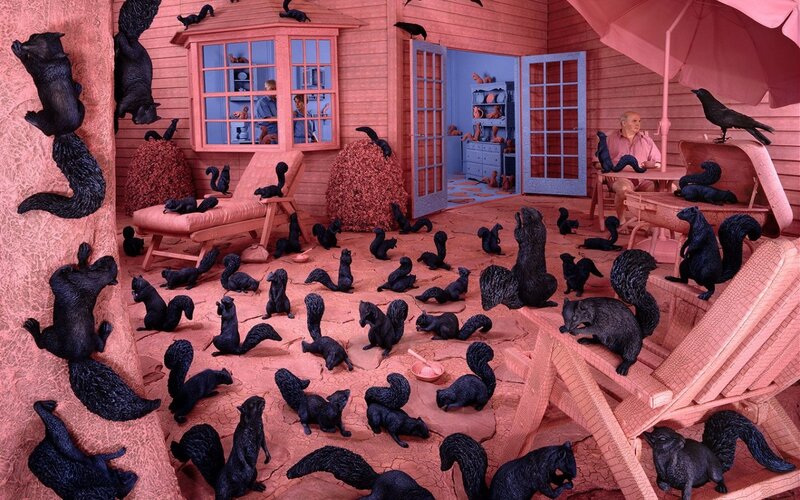 Squirrels in a House