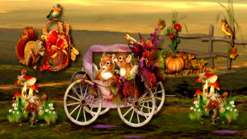 Squirrels in Carriage
