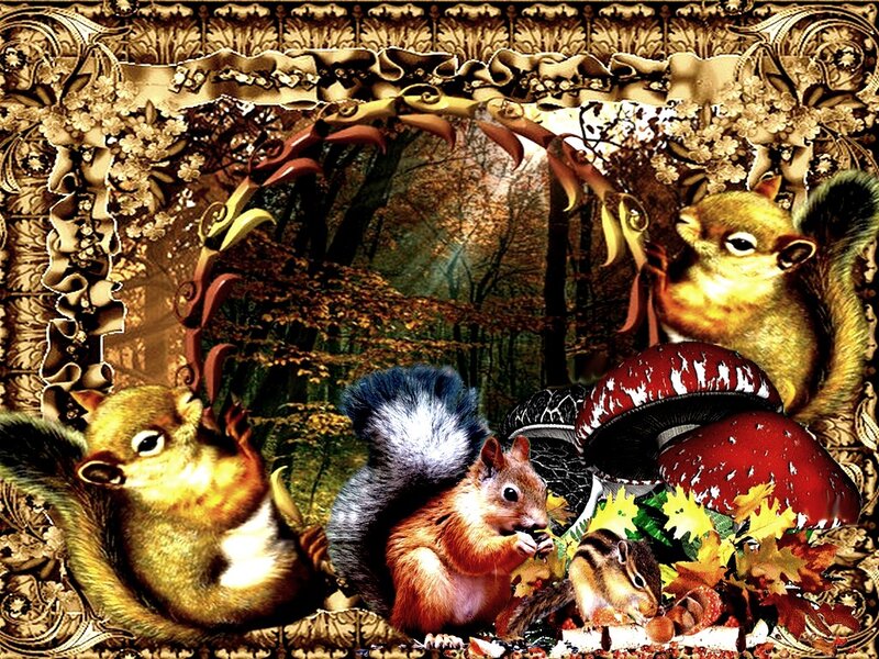 Squirrels in Forest — Brown