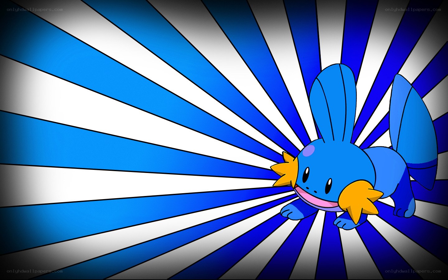 Squirtle character on blue background