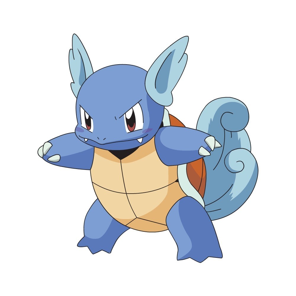 Squirtle from Pokémon