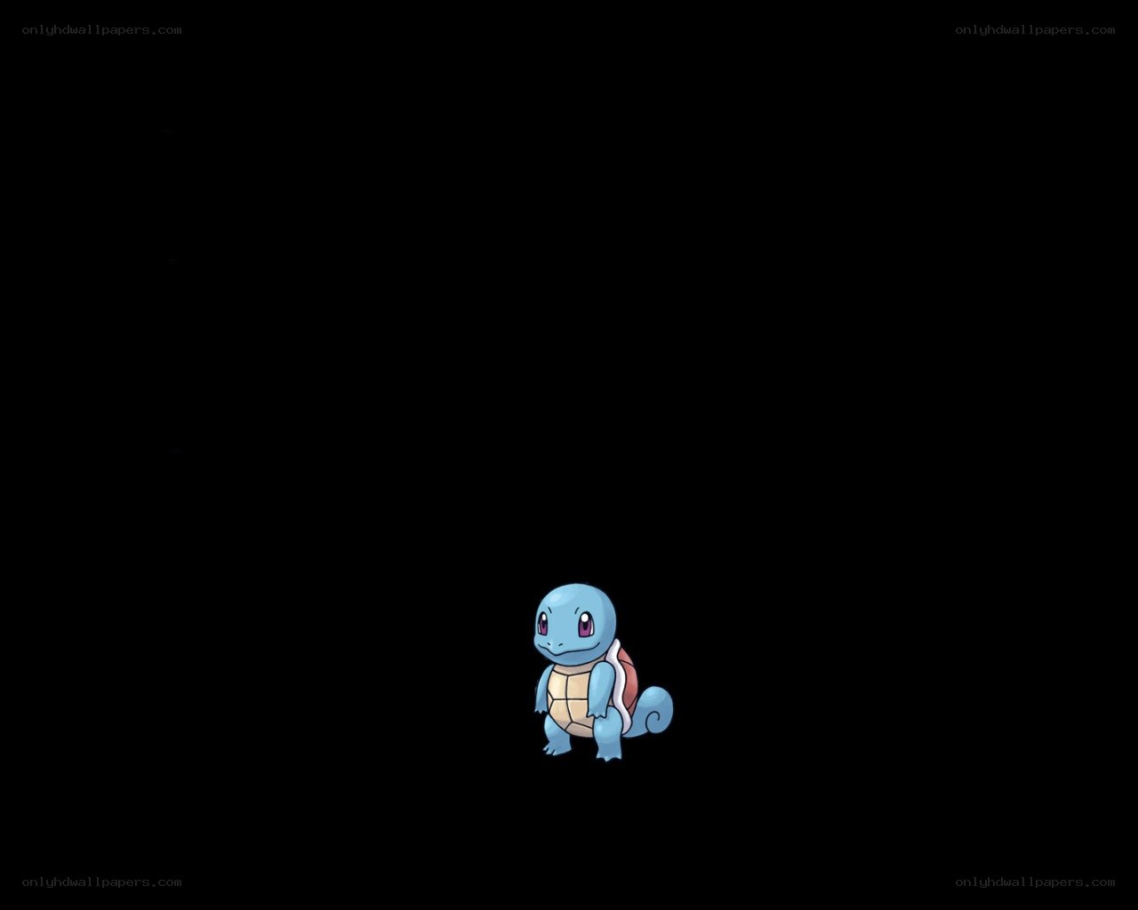 Squirtle from Pokémon