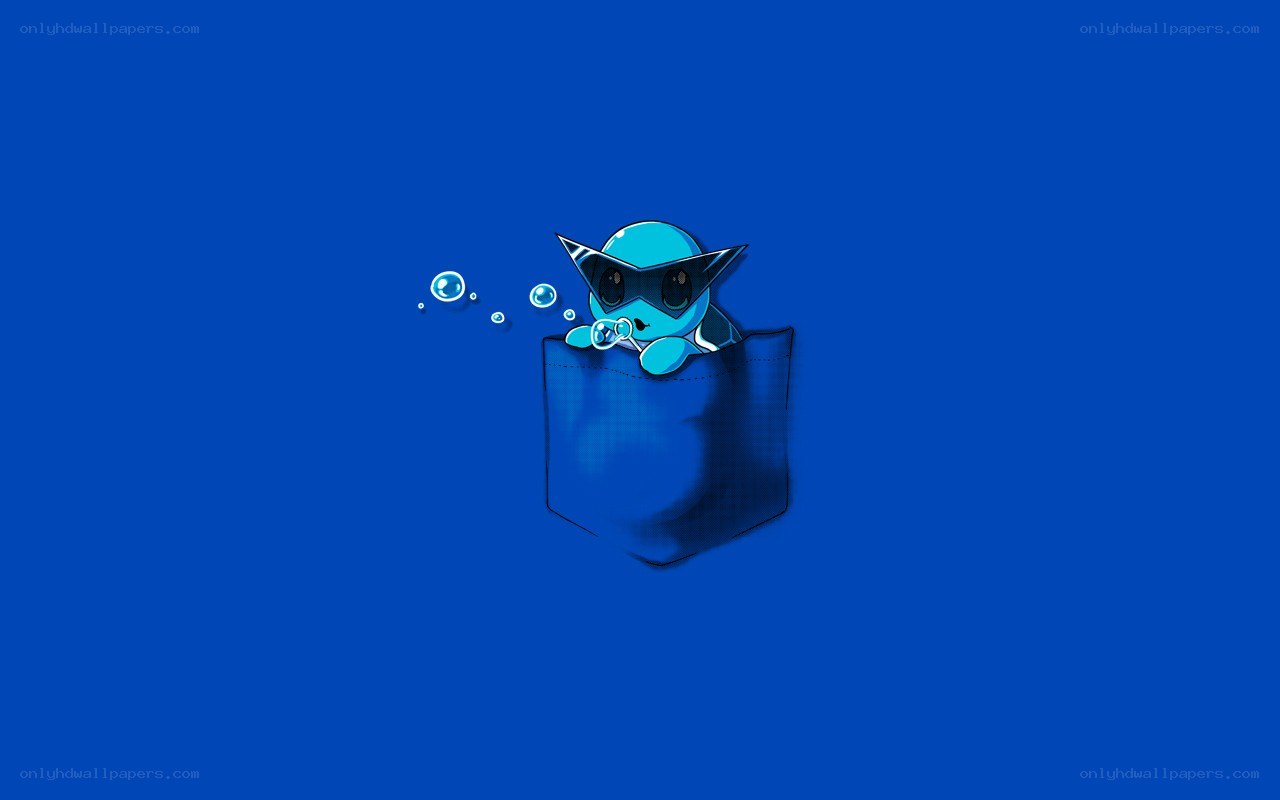 Squirtle in a pocket