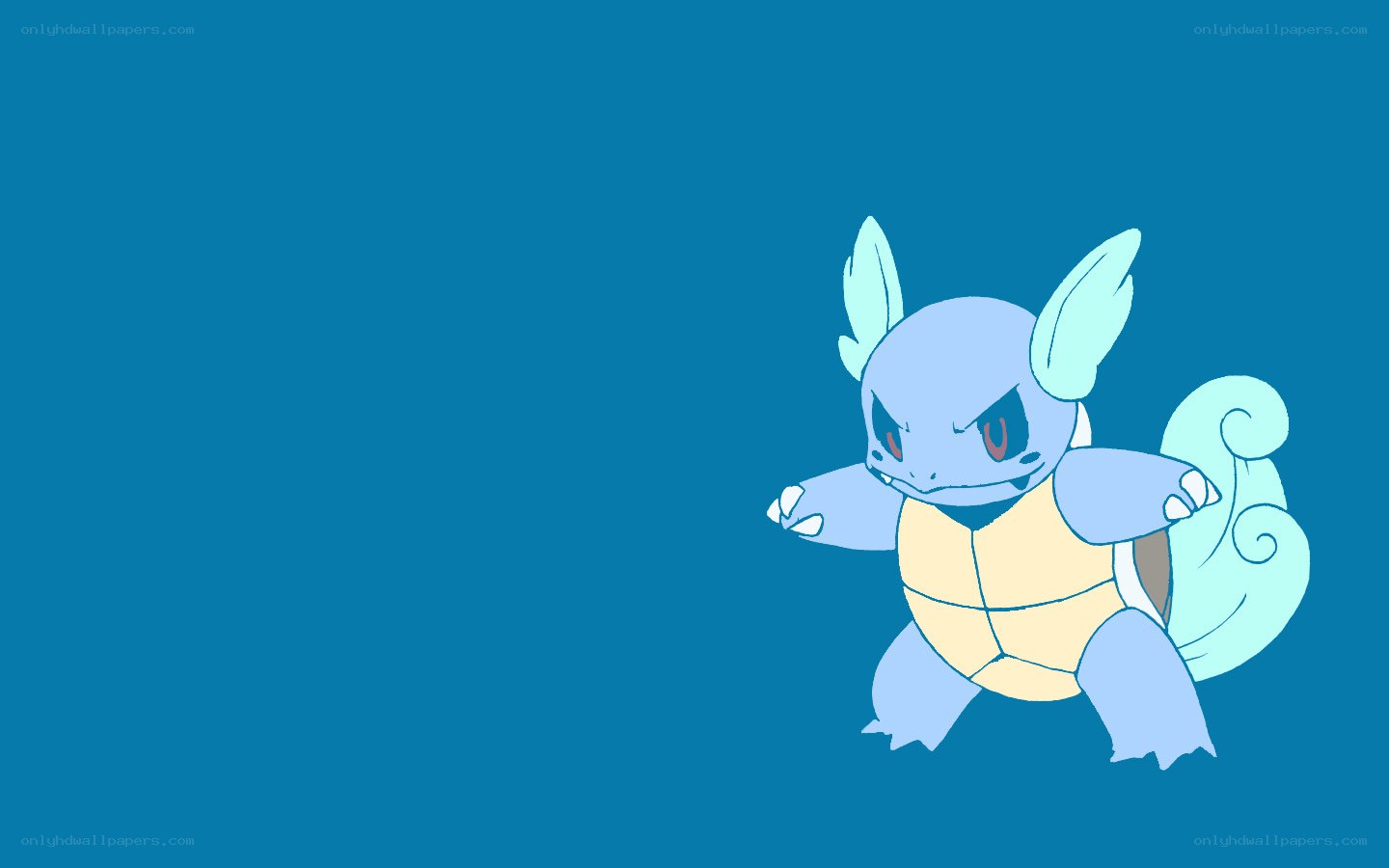 Squirtle in battle stance