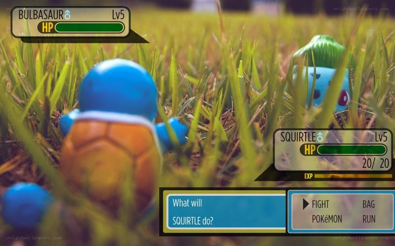 Squirtle in grass battle