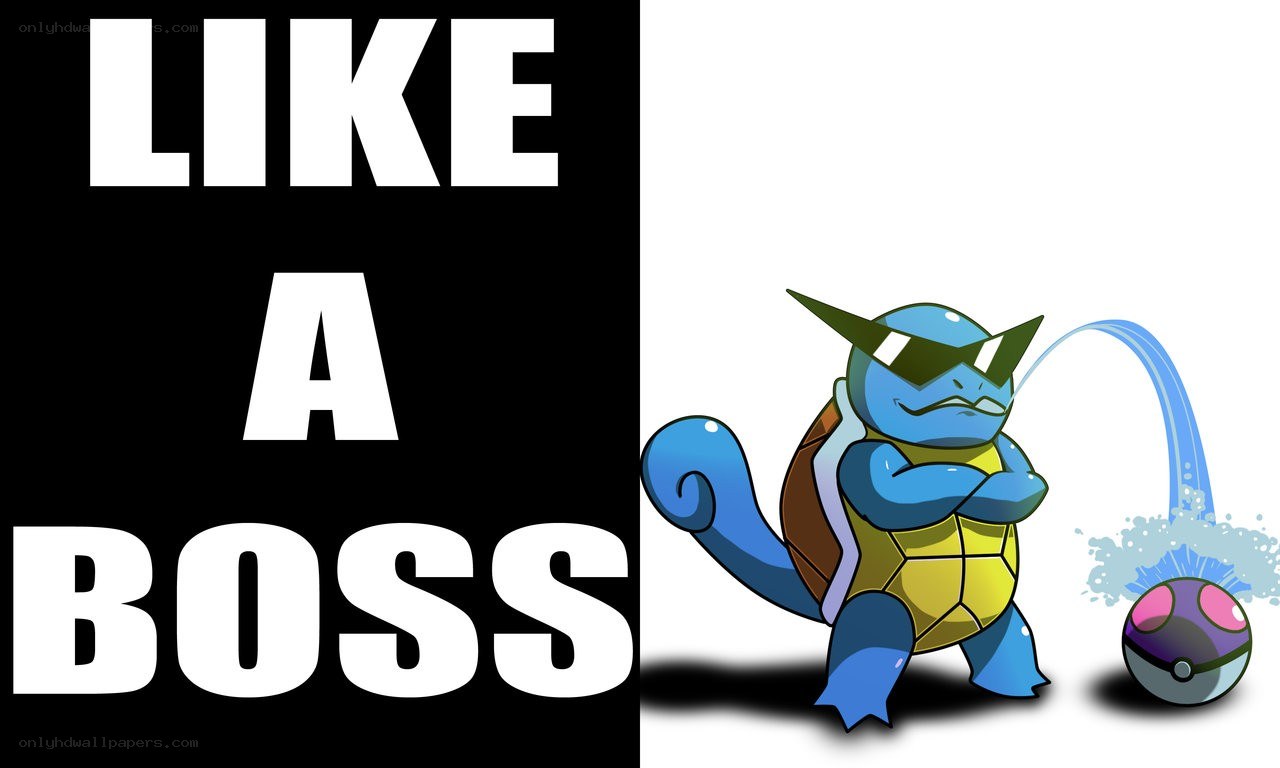 Squirtle like a boss