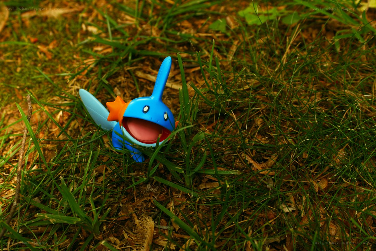 Squirtle toy in grass