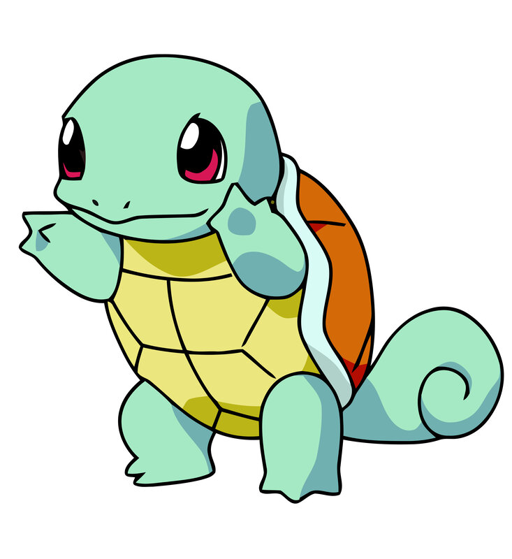 Squirtle Turtle
