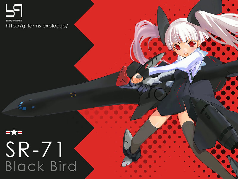 SR-71 Black Bird