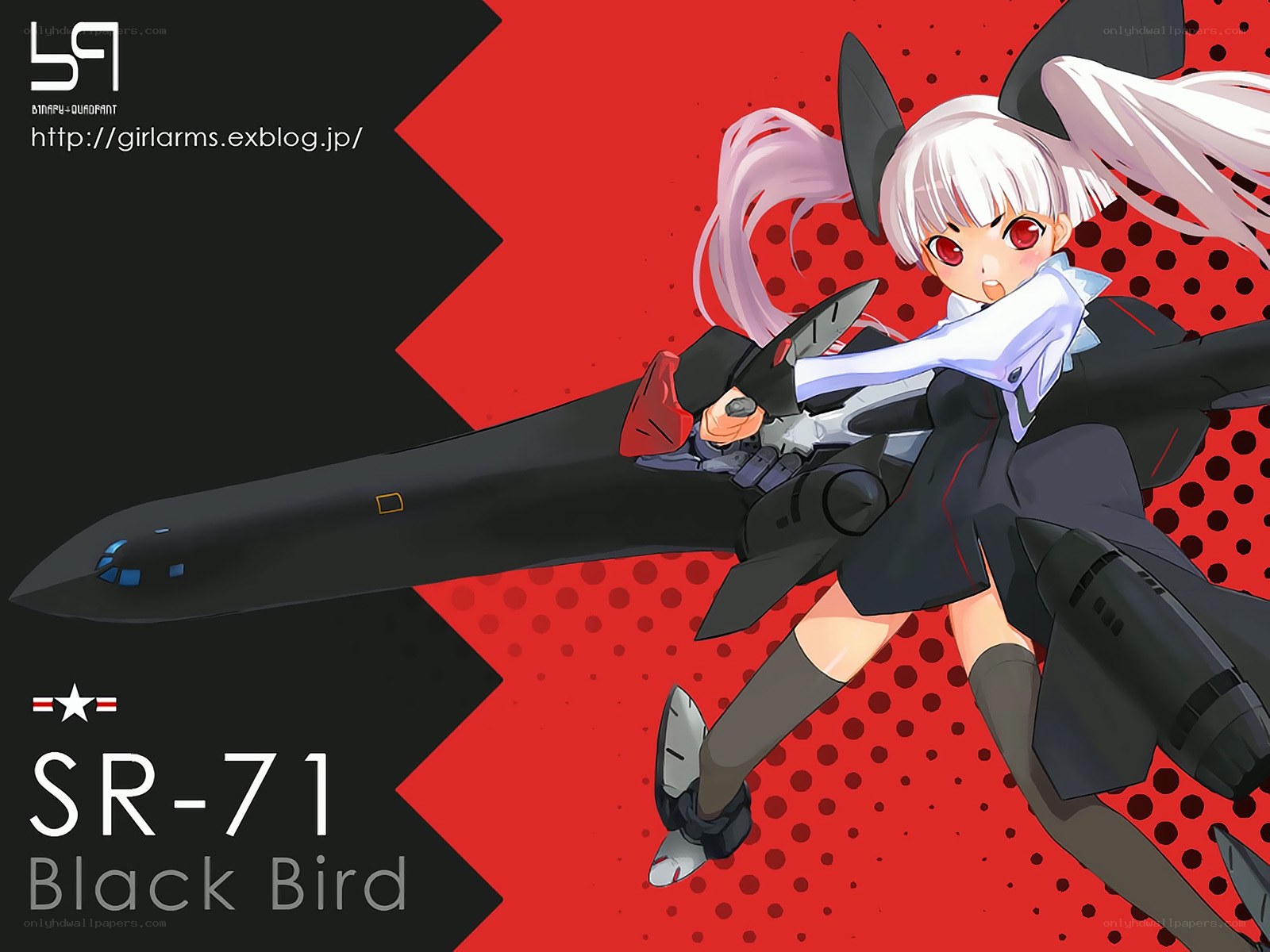 SR-71 Black Bird