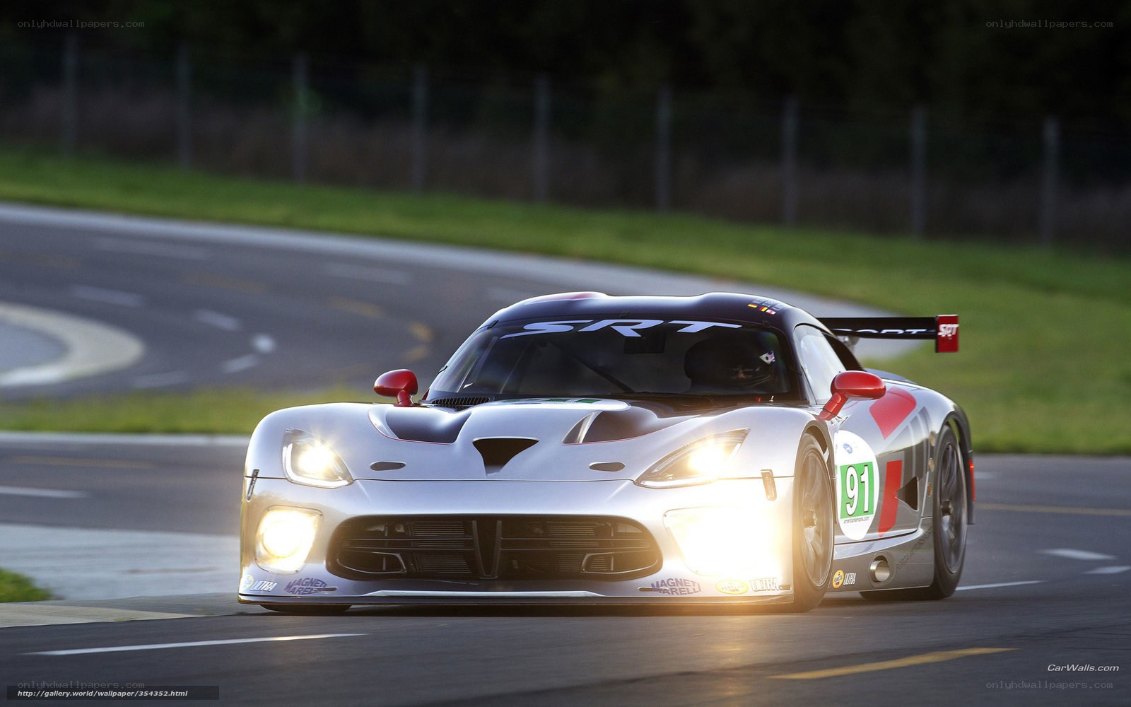 SRT Viper race car on track