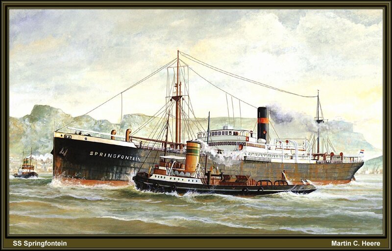 SS Springfontein ship illustration