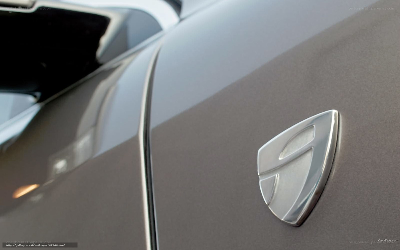 SsangYong car emblem close-up