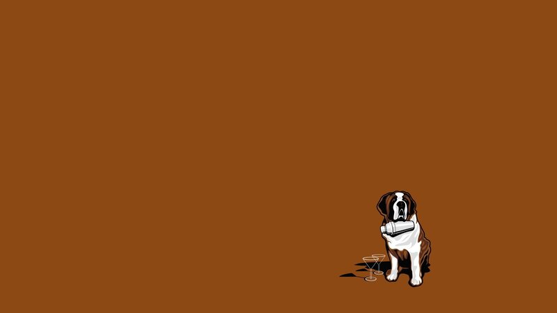 St Bernard Dog — Brown, Calm