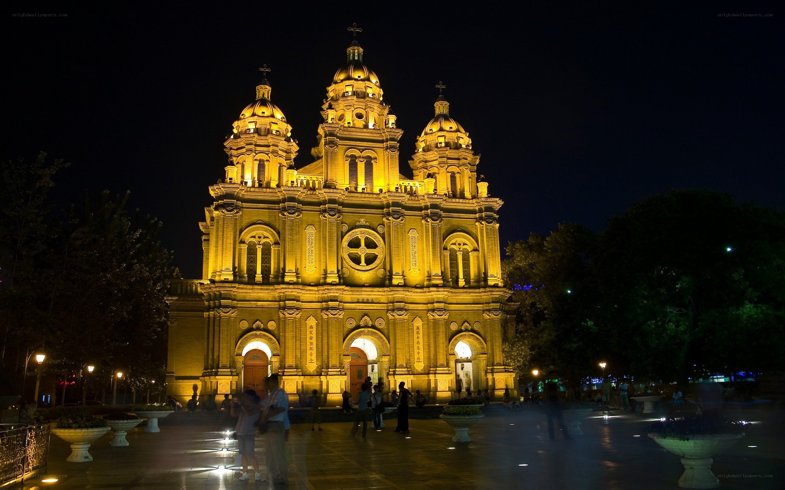 St. Joseph's Cathedral at night