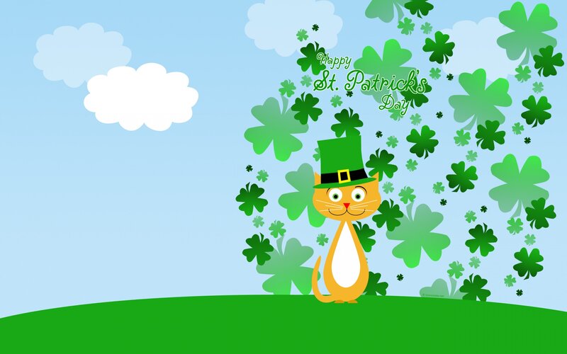 St. Patrick's Day cat