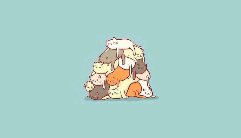 Stack of Cats