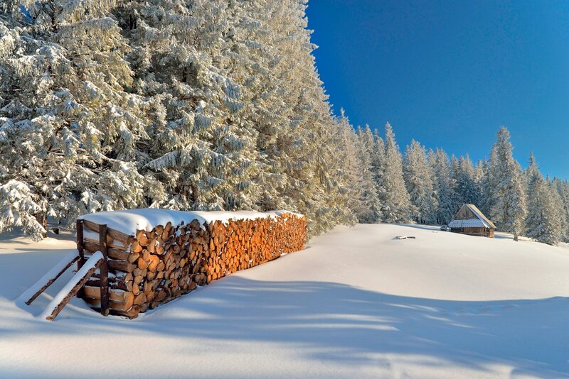 Stack of Firewood in Snow