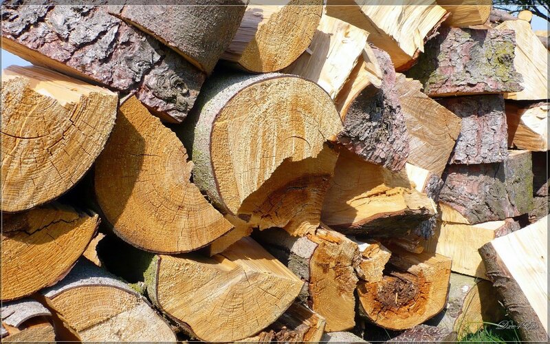 Stack of Firewood Logs — Brown, Natural