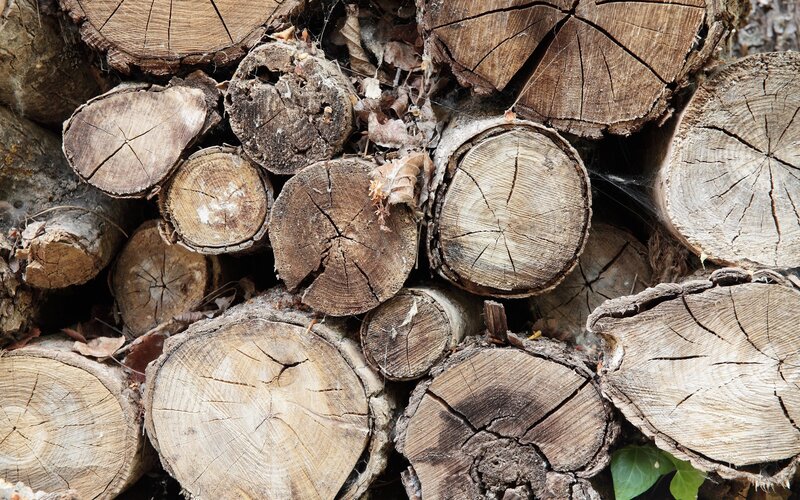 Stack of Firewood Logs — Brown