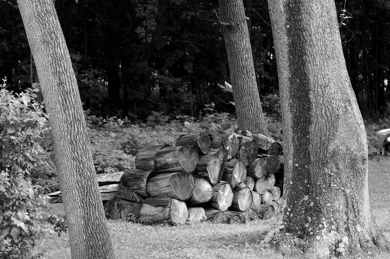 Stack of Firewood Logs