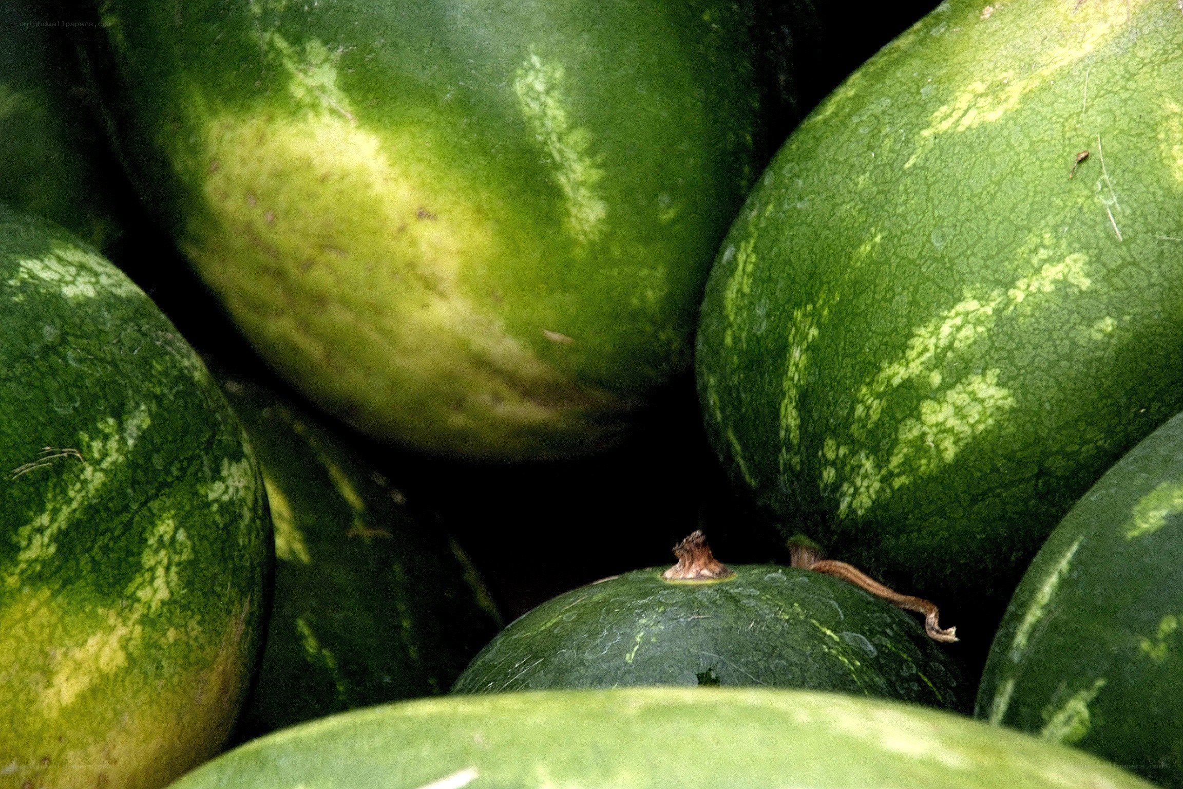 Stack of green watermelons