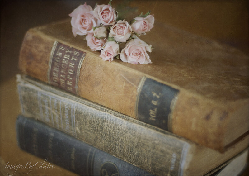 Stack of Old Books — Brown, Serene