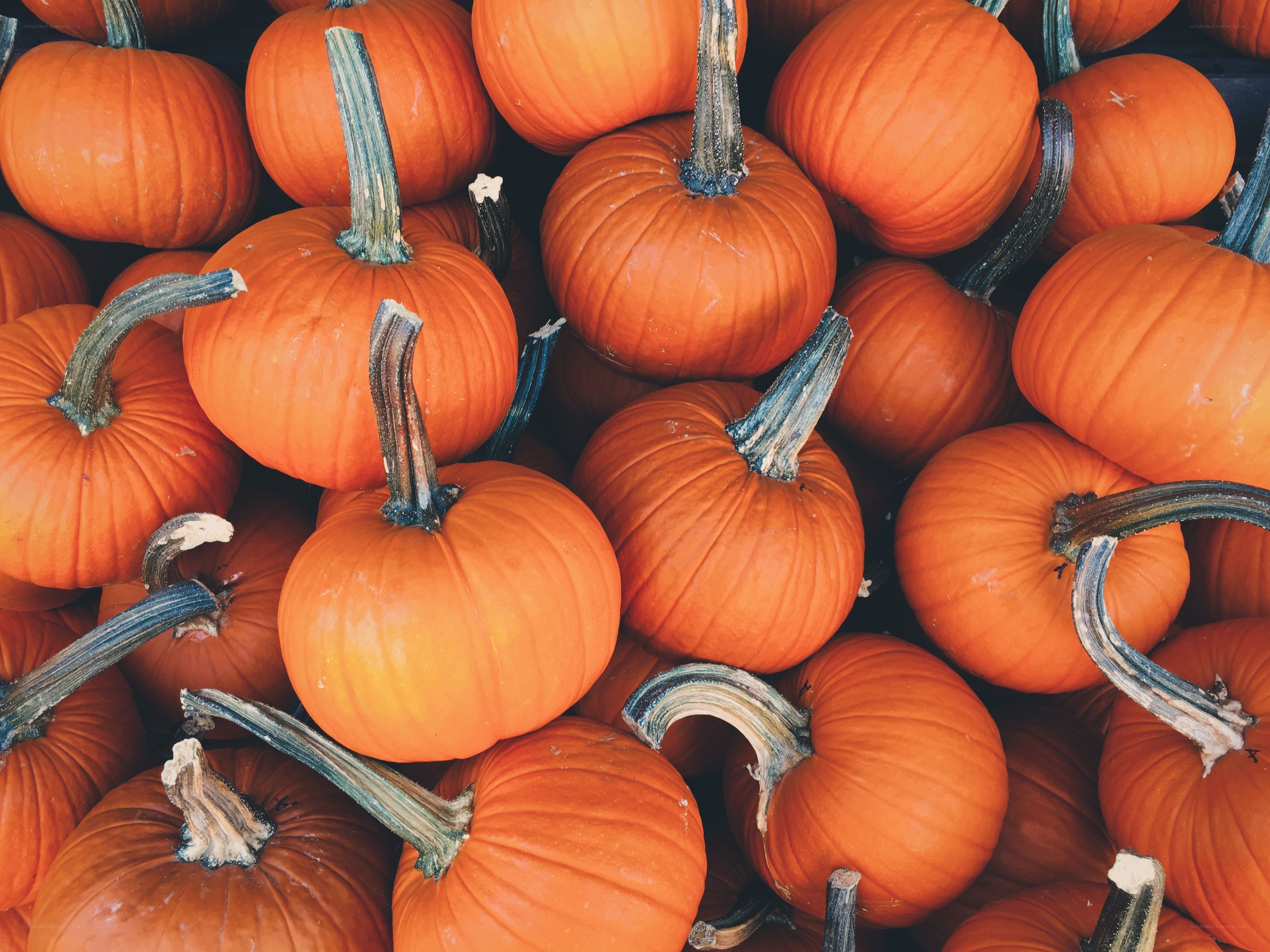 Stack of pumpkins at market