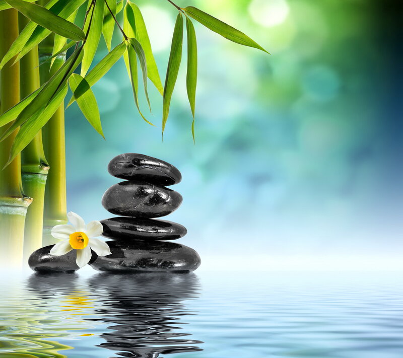 Stacked Black Stones — Green, Serene, Photograph, Bamboo, Flower
